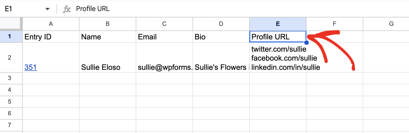 Viewing Google Sheets spreadsheet