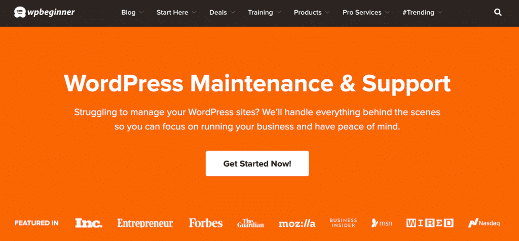 WPBeginner's Maintenance Services