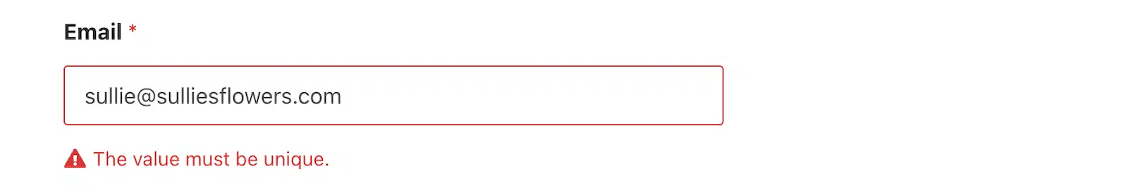 E-Mail-Wert muss eindeutig sein - WPForms Eine Nachricht wird angezeigt, wenn der Wert nicht eindeutig ist, basierend auf Ihren Einstellungen in WPForms