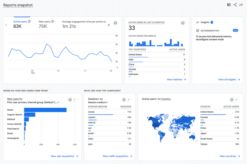 google analytics reports snapshot