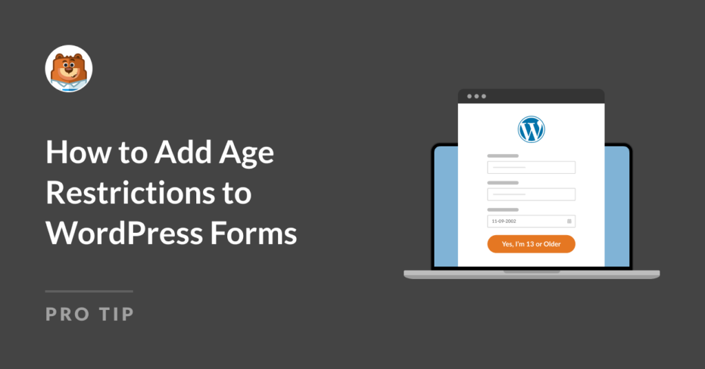 How to add age restrictions to wordpress forms