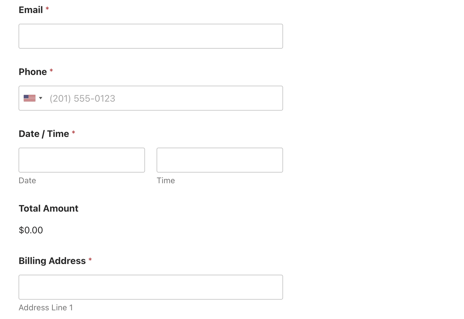 Form preview excluding payment field