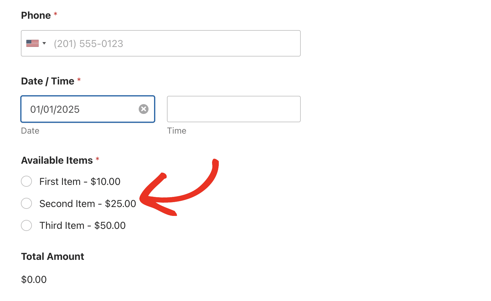 Form preview showing payment field based on date field input