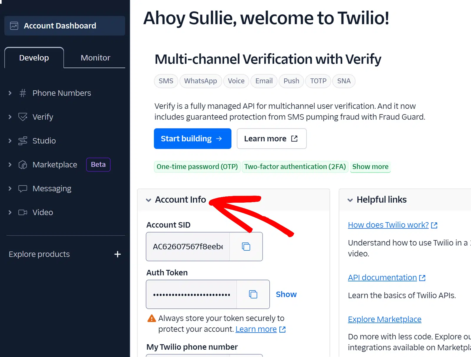 Painel de Informações da Conta Twilio