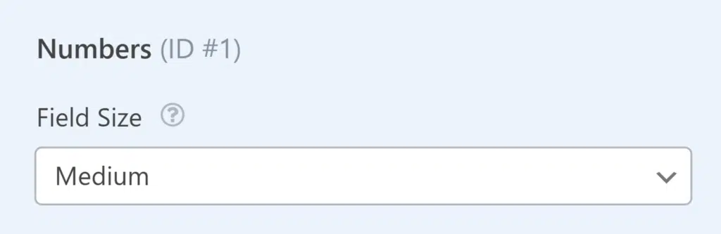 numbers-field-size-1 - WPForms Field Size for Numbers field