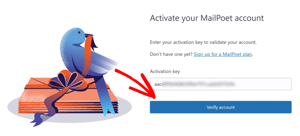 Paste MailPoet Activation key and click Verify account