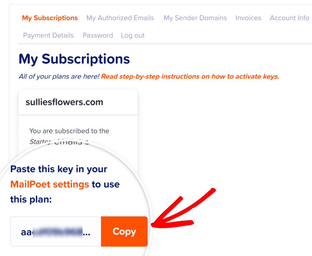 Copy MailPoet Activation key