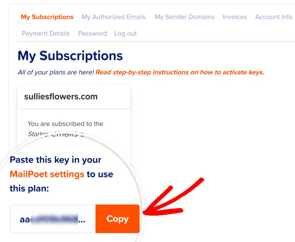 copy-activation-key-mailpoet - WPForms Copy MailPoet Activation key