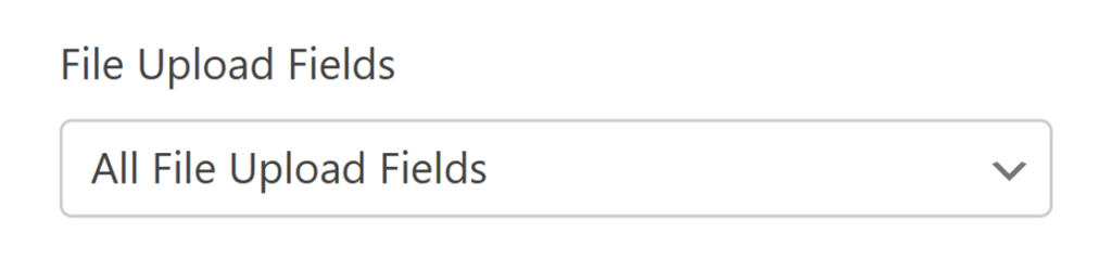 file-upload-fields-google-drive - WPForms File Upload Field