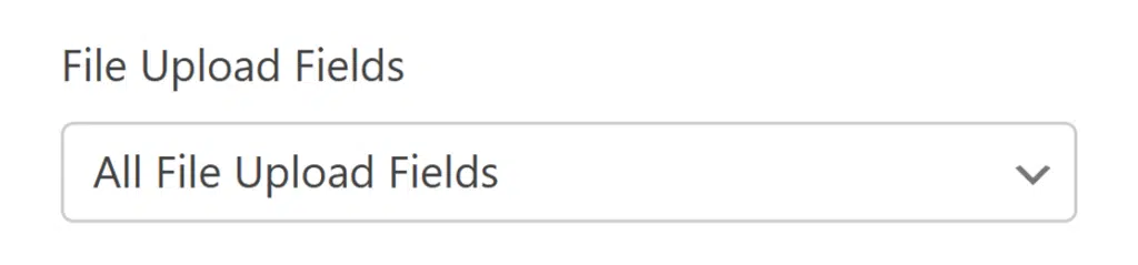 File Upload Field