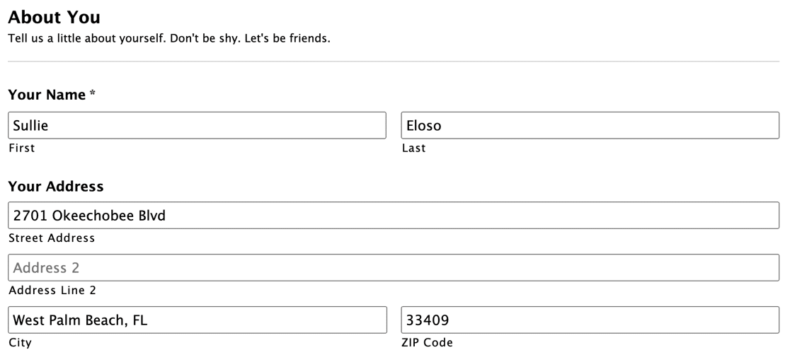 Test entry to check Gravity Forms not sending email