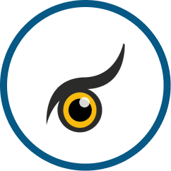 Uncanny Owl logo