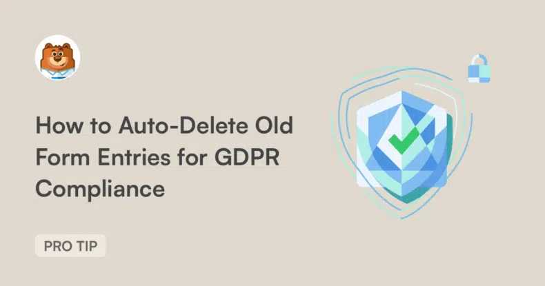How to Auto-Delete Old Form Entries for GDPR Compliance