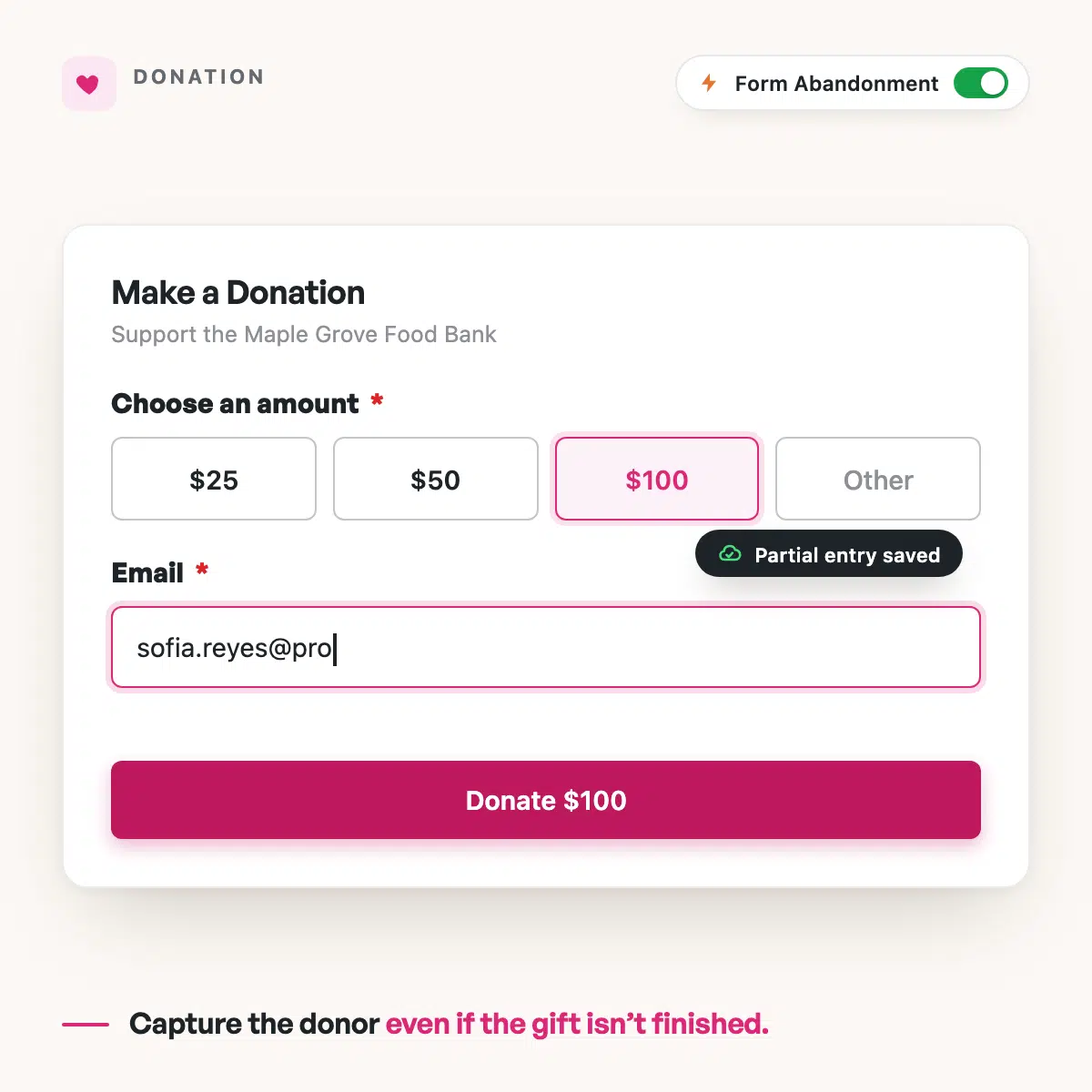 WPForms donation form capturing Sofia Reyes's partial entry before the gift is completed