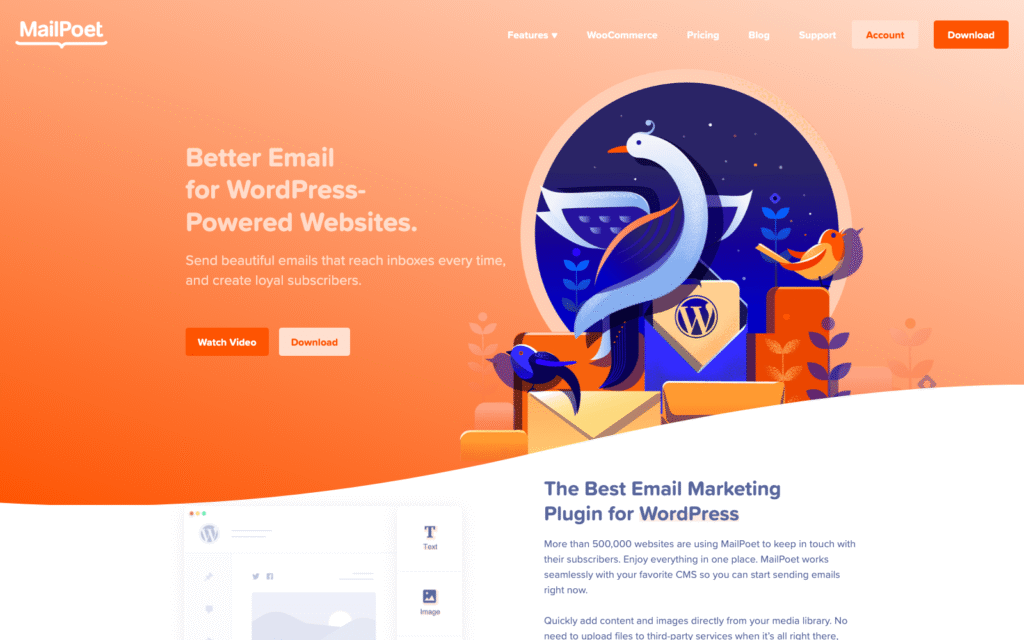 Hero banner with MailPoet logo on a warm orange gradient and a large circular illustration of birds, envelopes, and a WordPress symbol on the right.