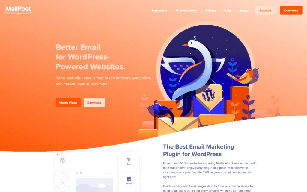 Banner principal con el logo de MailPoet en un degradado naranja cálido y una gran ilustración circular de pájaros, sobres y un símbolo de WordPress a la derecha.