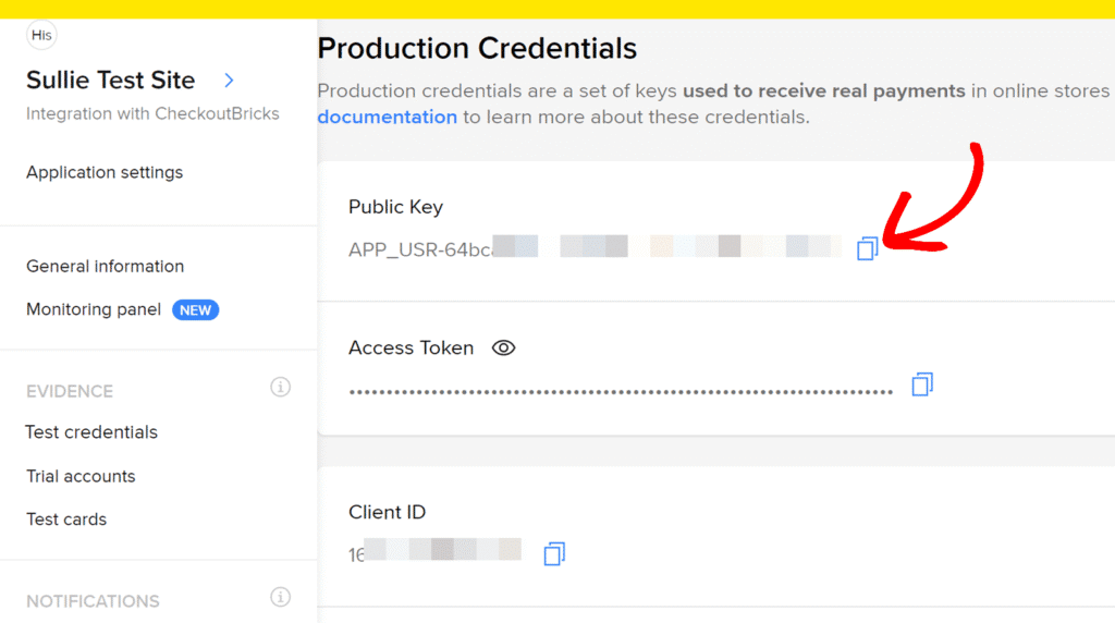 Screenshot della pagina Credenziali di produzione che mostra la Chiave pubblica con un pulsante Copia e sezioni per Token di accesso e ID client sulla destra.