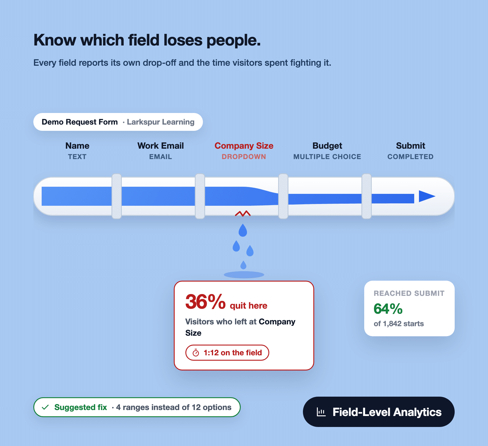 The formester alternative with field-level analytics, drawn as a pipe leaking 36% of visitors at the Company Size field after 1:12