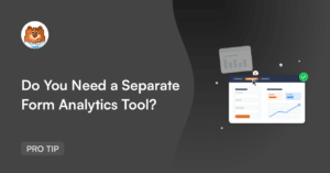 Hero banner with a dark background, a bear mascot on the left and a large title: 'Do You Need a Separate Form Analytics Tool?'; on the right is an illustrated dashboard mockup.