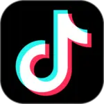 TikTok Conversions logo